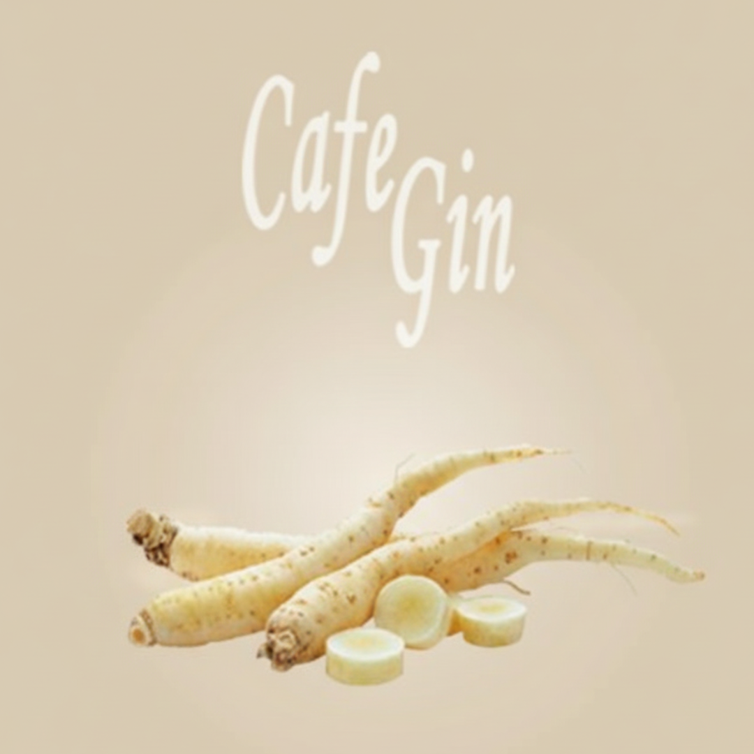 Square Capsule CoffeeGin with 50 capsules - Caffe D'Italia