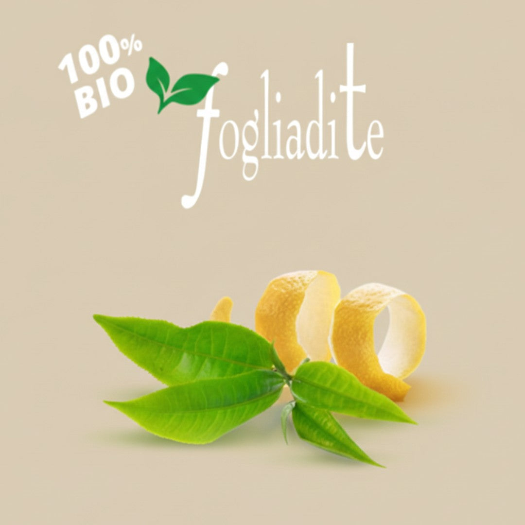 Square Capsule Fogliadite Green Tea | 50 Pack | Caffè D'Italia