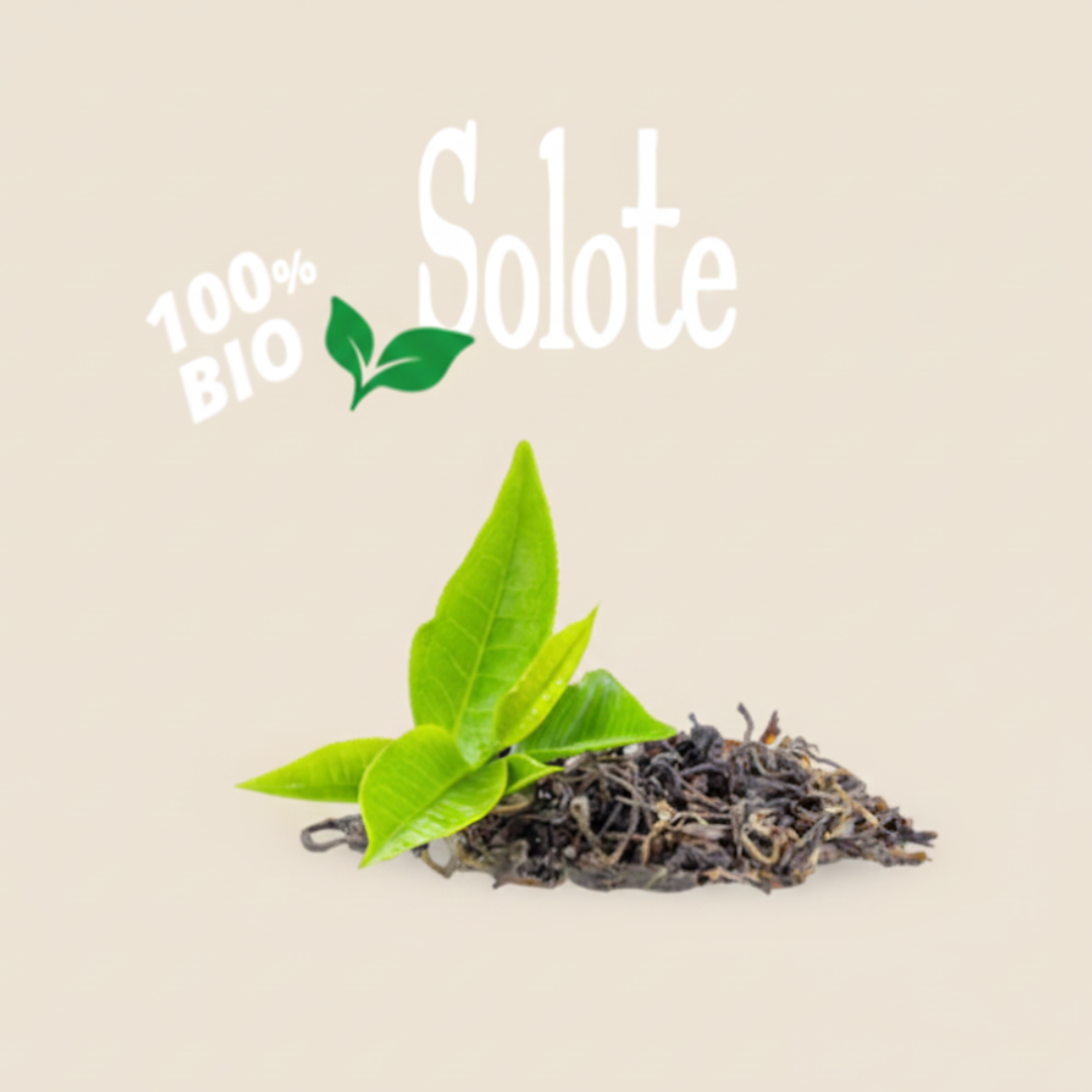 Square Capsule Black Tea Leaves with 50 capsules - Caffe D'Italia