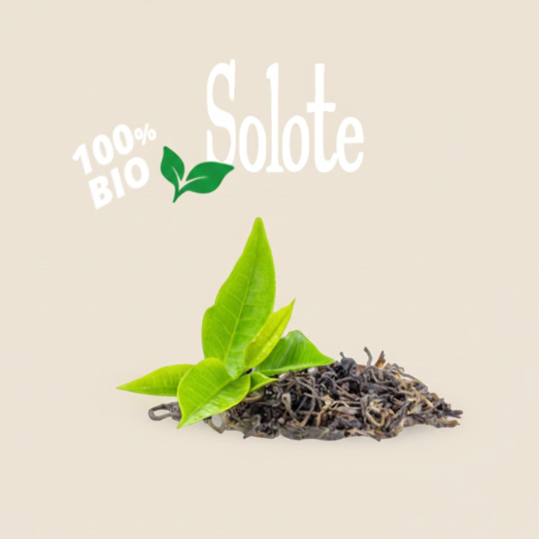 Folhas de chá preto orgânico Caffe D'Italia UK - CoffeHome com brotos verdes frescos sobre fundo bege